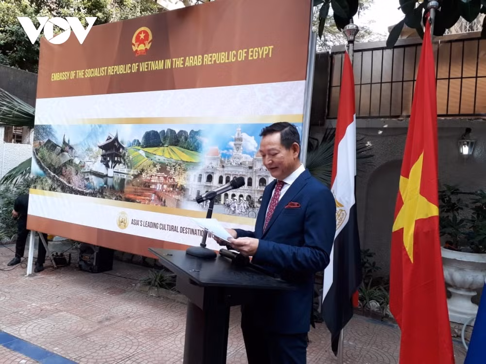 Divulgan valores culturales vietnamita en Egipto ảnh 1