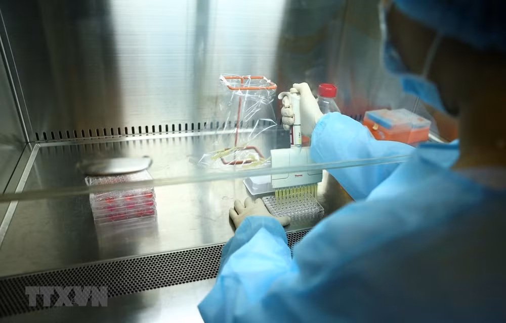 Espera Vietnam distribución universal de vacuna anticovid en 2022 ảnh 1