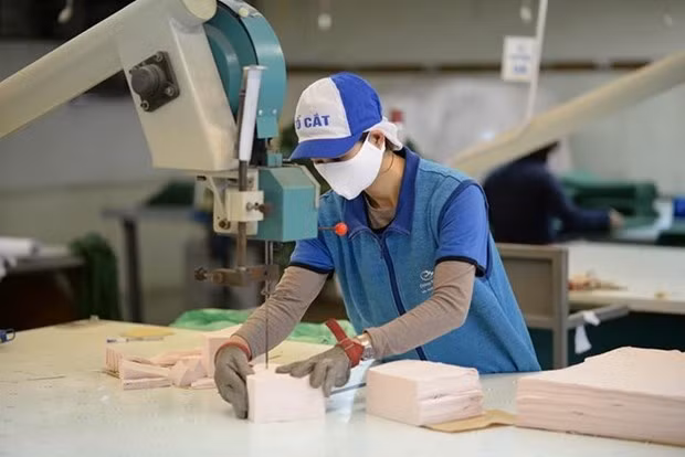 Sector textil de Vietnam espera un ingreso de 38 mil millones de dólares por exportaciones ảnh 1