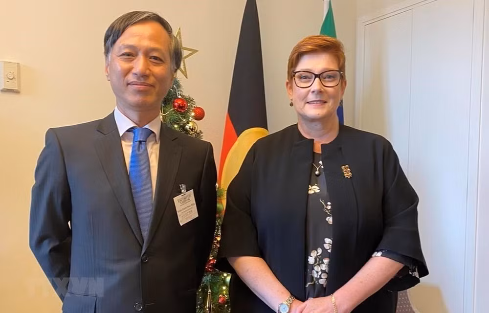 Aspira Australia a ampliar cooperación con Vietnam ảnh 1