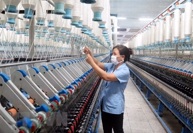Apoyan a pymes de mujeres vietnamitas ante impactos del COVID-19 ảnh 1