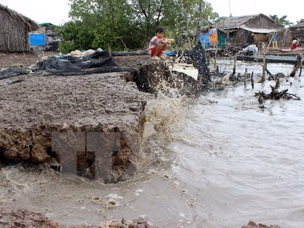 Efectúan seminario sobre desafíos del cambio climático en Vietnam ảnh 1