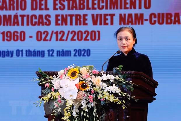 Nexos amistosos Vietnam-Cuba: historia gloriosa y mirada de esperanza hacia el futuro ảnh 1