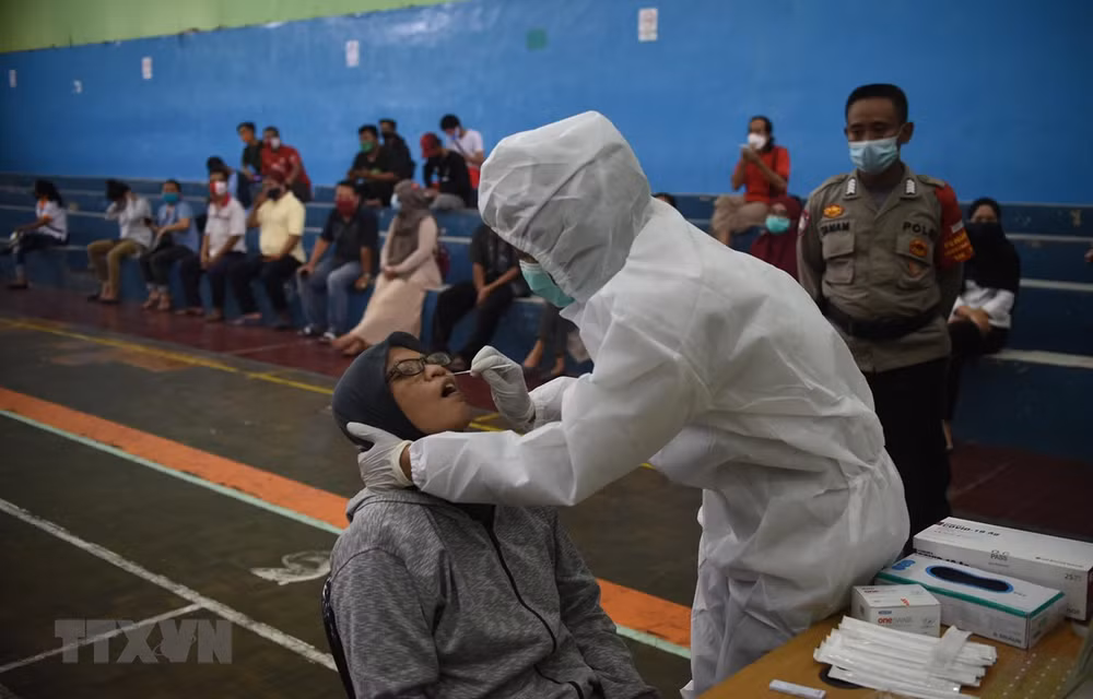 Indonesia: Diplomacia acelera acceso a vacuna contra el COVID-19 ảnh 1