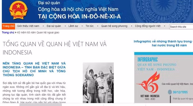 Lanzan página electrónica por aniversario 65 de relaciones Vietnam-Indonesia ảnh 1