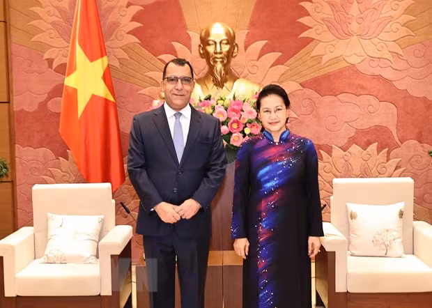 Enaltecen aportes de embajadores extranjeros al progreso de Vietnam ảnh 2