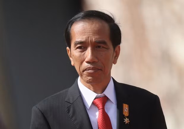 Indonesia aspira a liderar producción regional de baterías y automóviles eléctricos ảnh 1