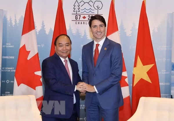 Relaciones entre Vietnam y Canadá avanzan pese a la pandemia ảnh 1