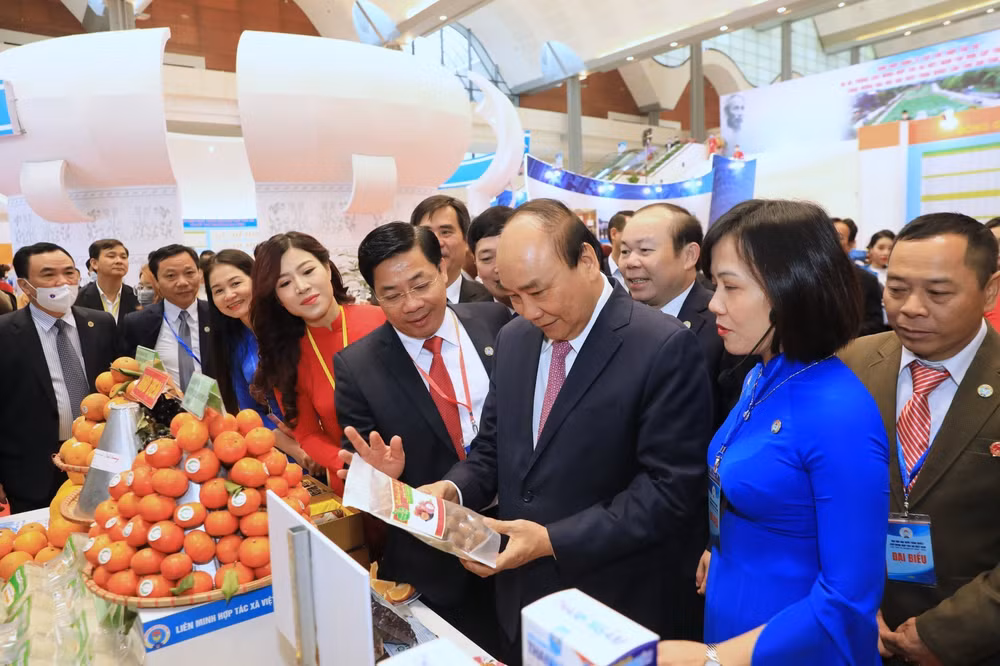 Vietnam perfecciona políticas de desarrollo económico colectivo ảnh 2
