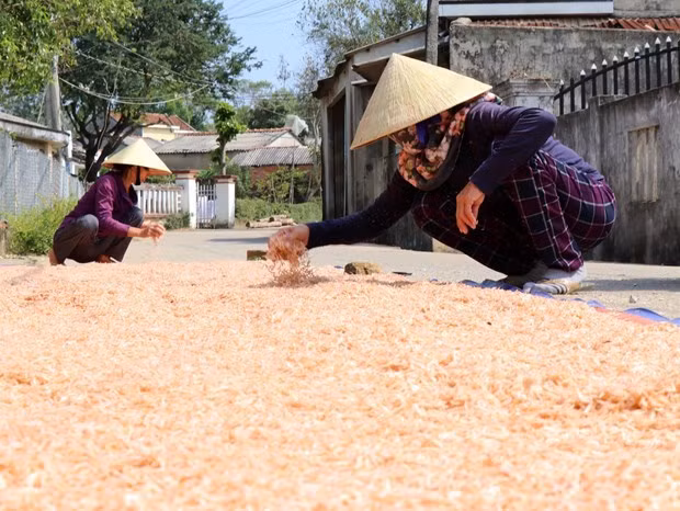 Enfocada provincia vietnamita de Bac Lieu en reducción de la pobreza ảnh 1