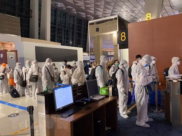 Repatrían a 350 vietnamitas de Emiratos Árabes Unidos y la India ảnh 1