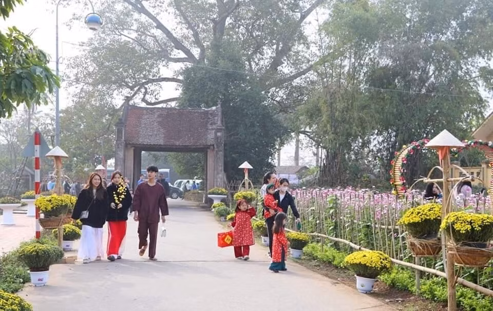 Experimentan el Tet vietnamita en antigua aldea de Duong Lam ảnh 2