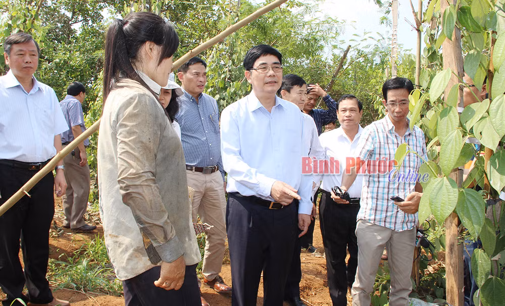 Exigen aprovechar con eficiencia fuentes hídricas ante sequía en Binh Phuoc ảnh 1