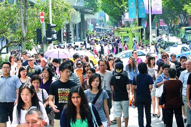Singapur realizará elección parcial en mayo ảnh 1 Singapur realizará elección parcial en mayo ảnh 1