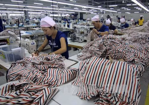 TPP: ventaja para avance en general de confección pero reto para empresas domésticas ảnh 1