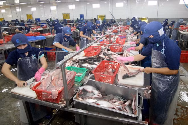 Exportaciones acuáticas totalizan 1,4 mil millones de USD en primer trimestre ảnh 1
