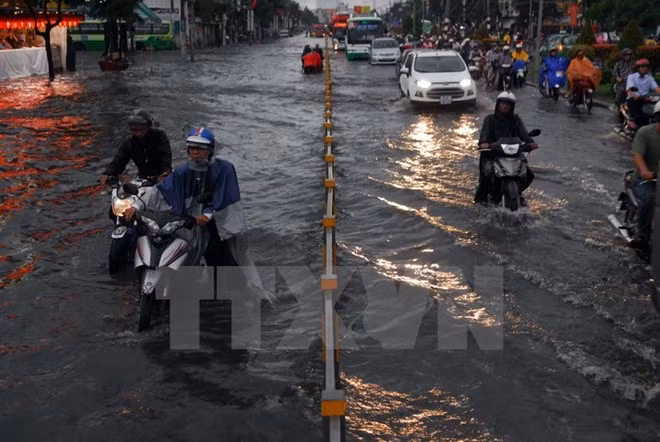 Ciudad Ho Chi Minh aumenta inversión en lucha contra inundación ảnh 1