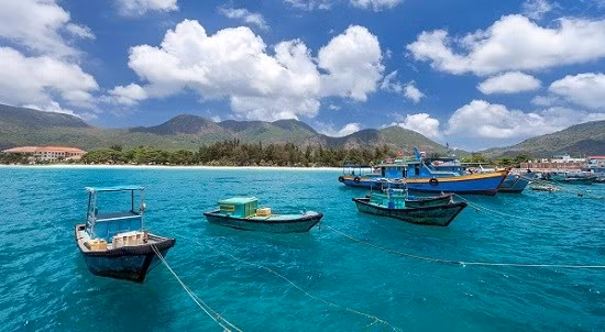 Suspenden servicios turísticos en provincias vietnamitas para prevenir expansión del COVID-19 ảnh 1
