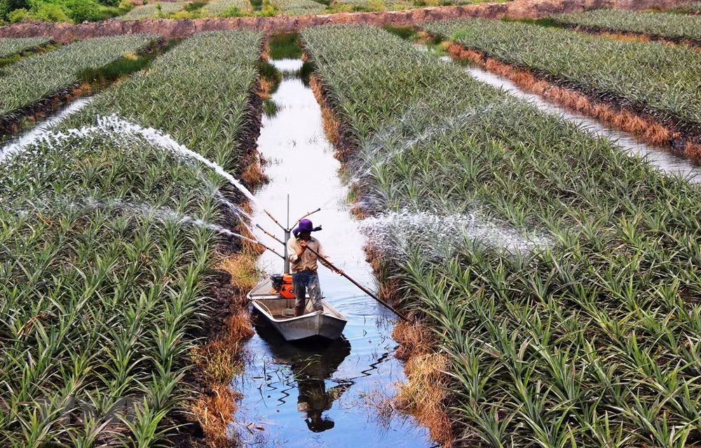 Destina Indonesia más de tres mil millones de dólares para agricultura de base tecnológica ảnh 1 Destina Indonesia más de tres mil millones de dólares para agricultura de base tecnológica ảnh 1