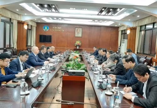 Vietnam interesado en aumentar importación de carne de Rusia ảnh 1