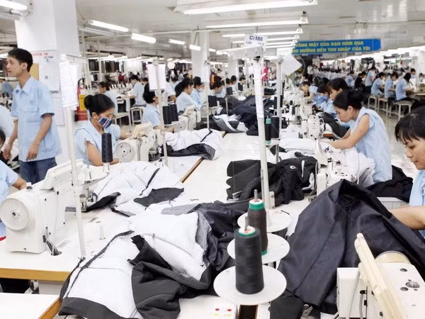 Establece Camboya paquete de 50 millones de dólares para apoyar a PYMES ảnh 1