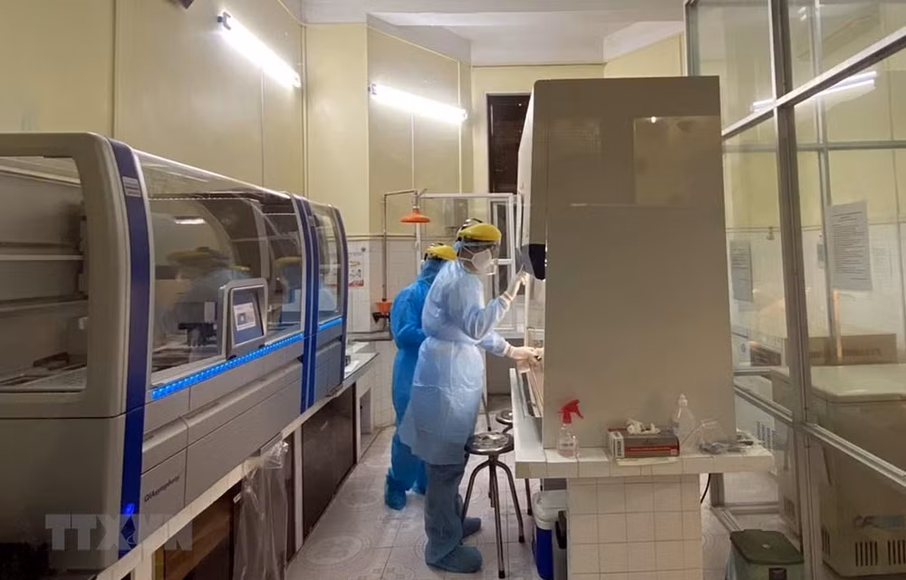 Cifras actualizadas de casos de coronavirus en Vietnam ảnh 1