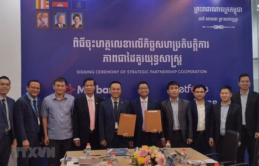 Fortalecen cooperación entre filiales de empresa y banco vietnamitas en Camboya ảnh 1