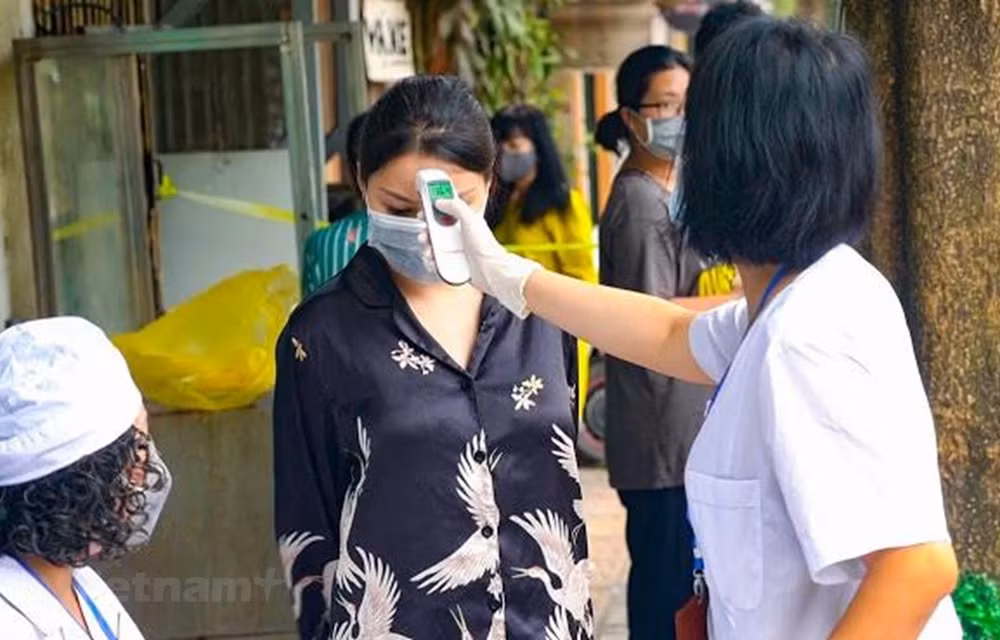 Presenta Vietnam aplicaciones de declaración médica personal ảnh 1