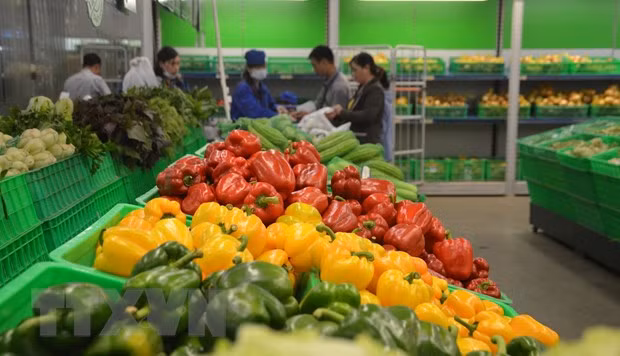 Aumentan exportaciones de verduras y frutas de Vietnam a Estados Unidos ảnh 1