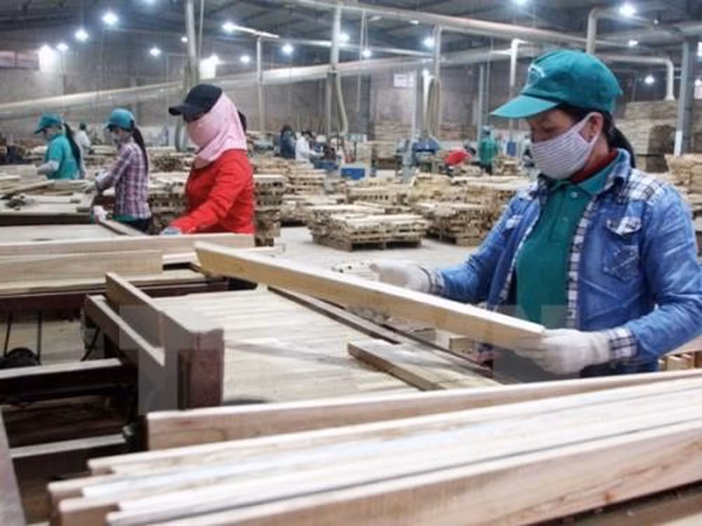 Tratado de Libre Comercio con la UE beneficiará a industria maderera de Vietnam ảnh 1