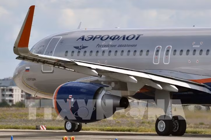 Apoya Vietnam a sus ciudadanos varados en aeropuerto de Moscú ảnh 1
