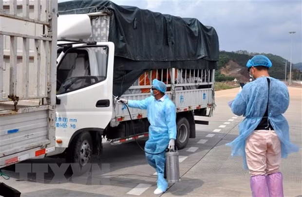Vietnam y China buscan recuperar intercambio comercial ảnh 1