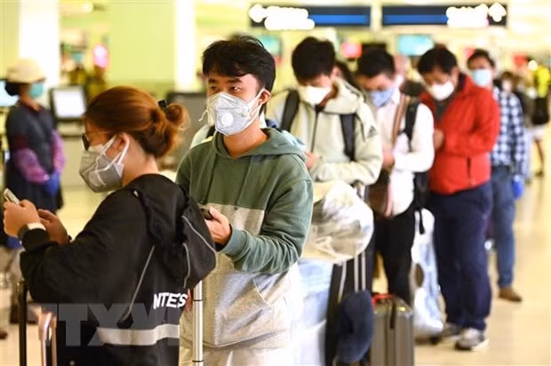 Embajada de Vietnam en Australia insta a connacionales a mantener la calma ante pandemia ảnh 1