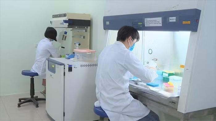 Vietnam se libra de importar kits de prueba rápida para el COVID-19 ảnh 1