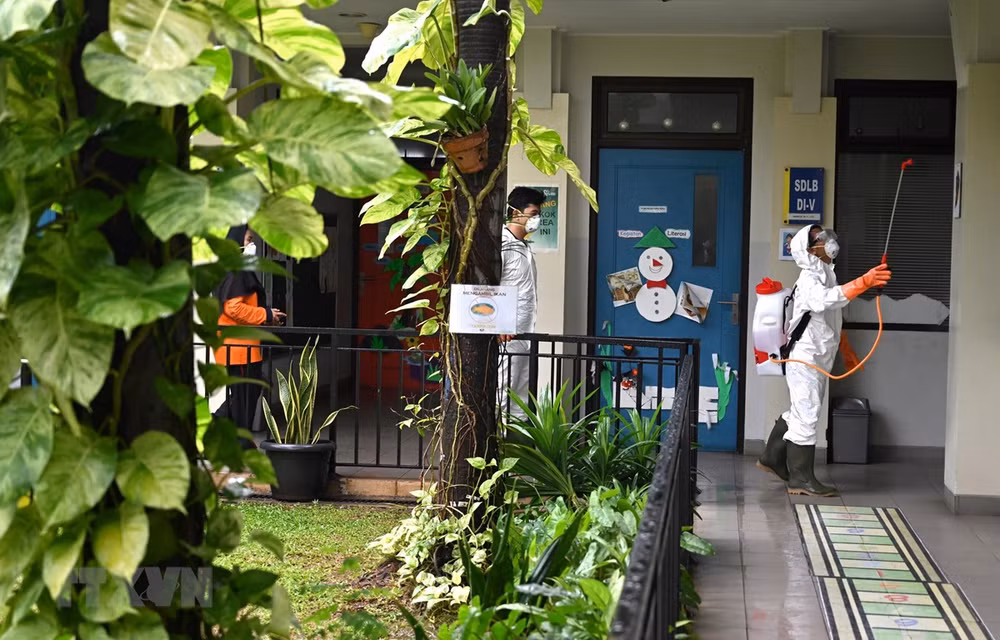 Tres doctores en Indonesia perdieron la vida por COVID-19 ảnh 1