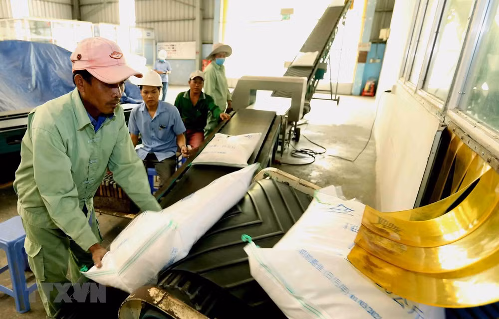 Exportaciones de arroz vietnamita aumentan 27 por ciento en primer bimestre del año ảnh 1
