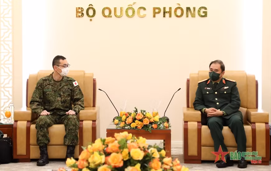 Japón apoya a Vietnam en cumplimiento de misiones de paz de ONU ảnh 1