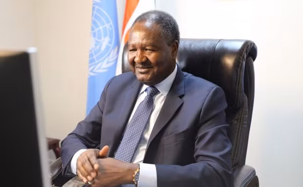 Embajador nigerino valora aportes de Vietnam al Consejo de Seguridad de la ONU ảnh 1 Embajador nigerino valora aportes de Vietnam al Consejo de Seguridad de la ONU ảnh 1
