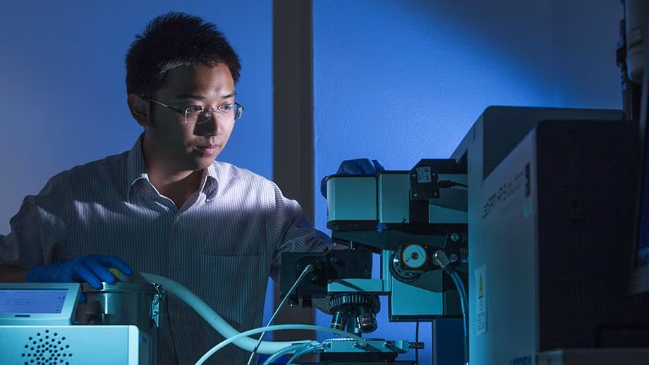 Honran a científico vietnamita en Australia por su labor investigativa ảnh 1 Honran a científico vietnamita en Australia por su labor investigativa ảnh 1