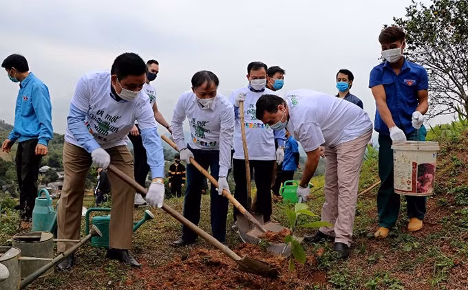 Embajada de Israel apoya reforestación en provincia vietnamita ảnh 1