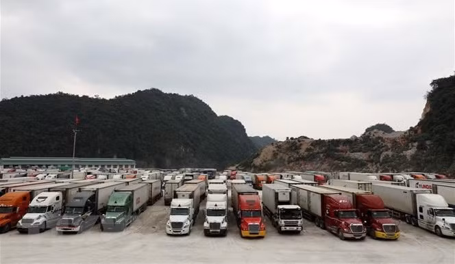 Vietnam y China buscan soluciones a la congestión de carga en puertas fronterizas ảnh 1