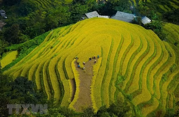 Viajes en línea, nueva orientación para turismo de provincia vietnamita ảnh 1 Viajes en línea, nueva orientación para turismo de provincia vietnamita ảnh 1