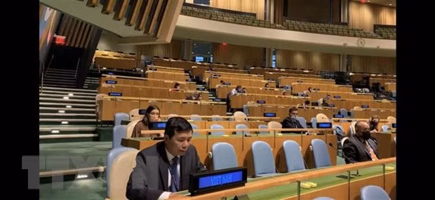 India aprecia contribuciones de Vietnam al Consejo de Seguridad de la ONU ảnh 1
