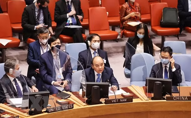 Diplomática británica alaba contribuciones de Vietnam al Consejo de Seguridad de la ONU ảnh 1