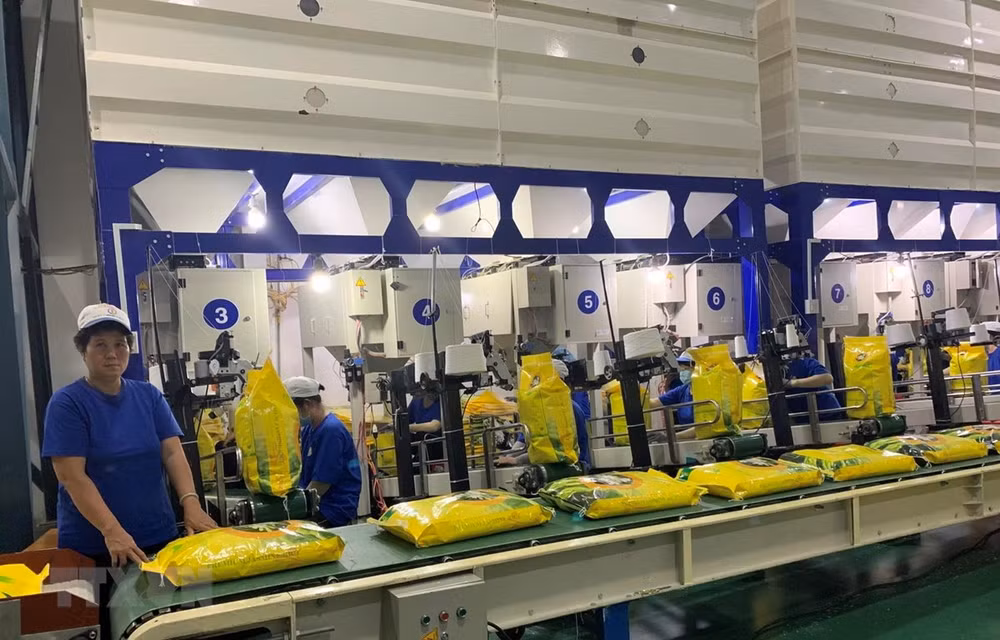 Empresa vietnamita envía primer lote de arroz libre de impuesto a la Unión Europea ảnh 1