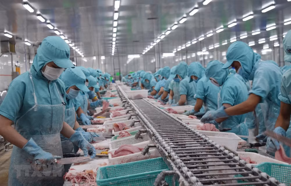 Aprueba Vietnam plan para implementación de EVFTA ảnh 1