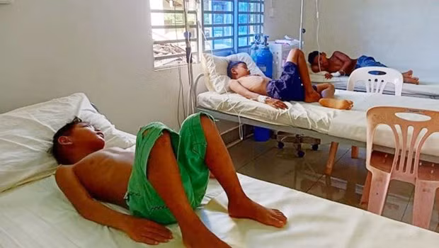 Chikungunya se extiende a 15 provincias en Camboya ảnh 1