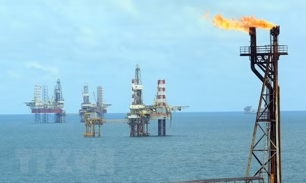Yacimiento gasífero de empresa Vietsovpetro logra hito de producción ảnh 1