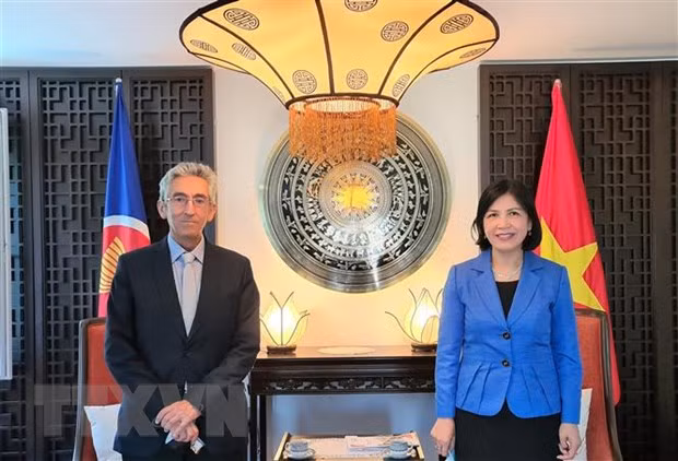 Vietnam fortalece cooperación con Organización Centro Sur ảnh 1