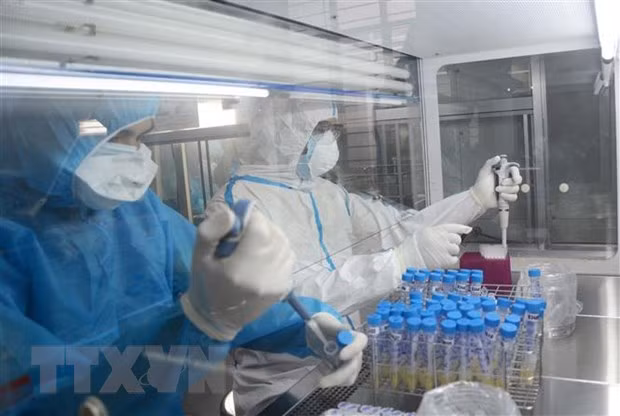 COVID-19: Vietnam sin casos nuevos esta mañana ảnh 1